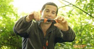 bear grylls ultimat knife