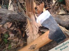 axe cutting tree branch