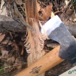 axe cutting tree branch