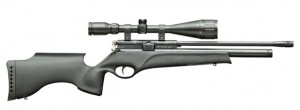 weapons air gun bsa