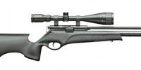 Best Air Rifle for Survival in the UK