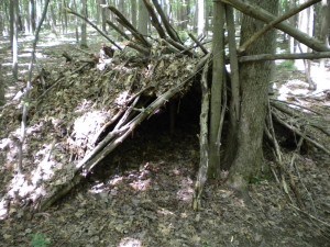 survival shelter debris hut