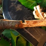 tom brown tracker shower notched wood