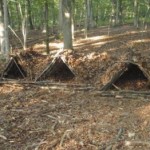three survival shelters in a row