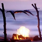 survival skills cooking some fish