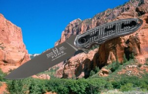 knife review Buck Punk