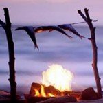 Wilderness Survival Skills