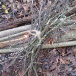 twigs on floor