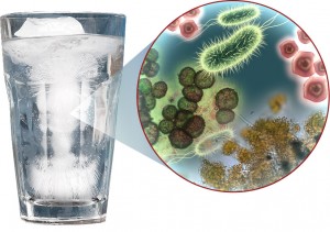 germs in water glass