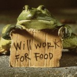 funny frog work for food