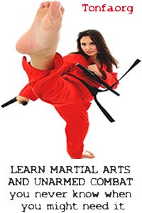learn martial arts Tonfa.org