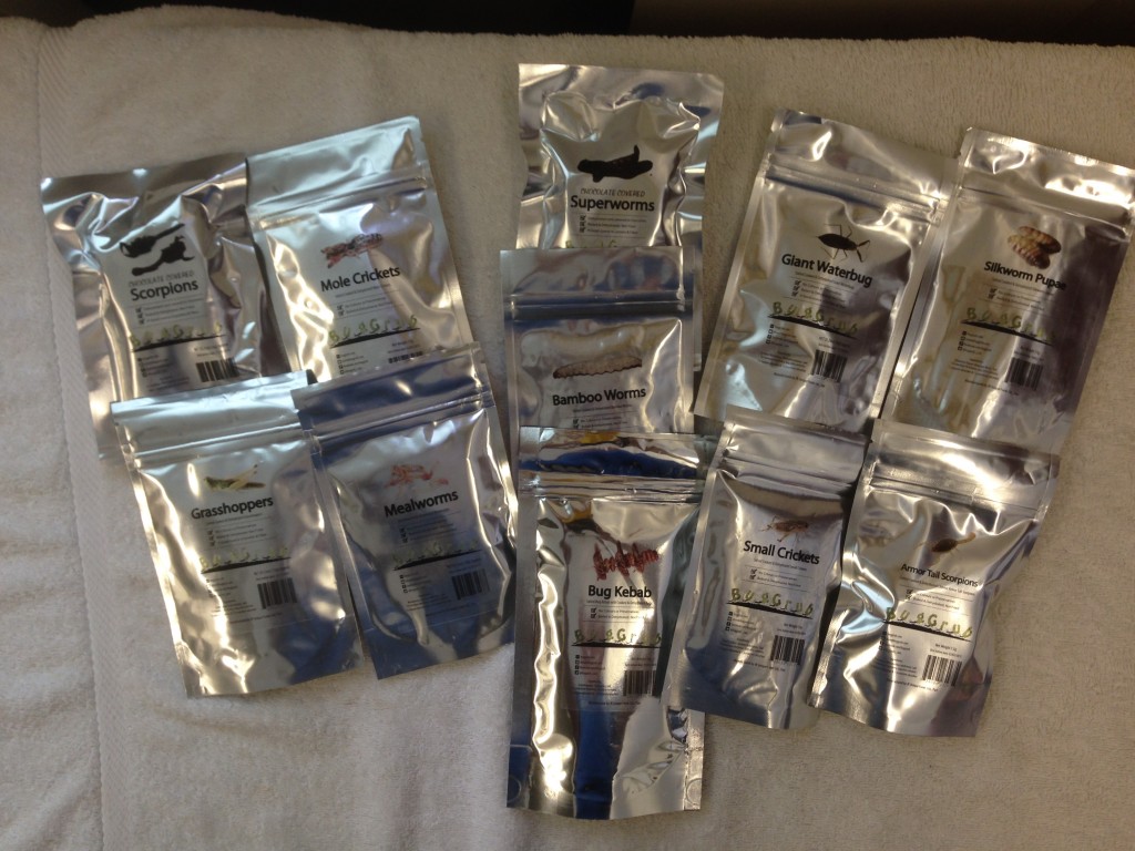 packets of edible bugs uk