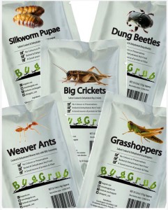 dried bugs 5 piece banquet