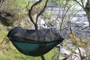 jungle hammock