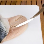 What is the Best Fish Filleting Knife for survival