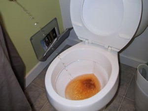 peeing into a toilet