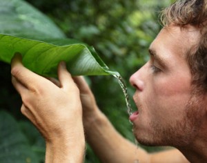 rain water harvesting methods in the wilderness