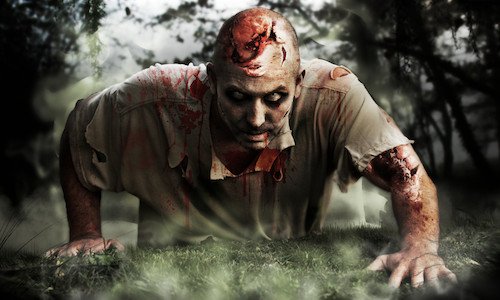 ZOMBIE SURVIVAL GUIDE