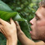 rain water harvesting methods in the wilderness