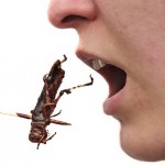 Eating Insects For Survival Crickets and Grasshoppers