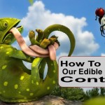 trailer vid thumbnail