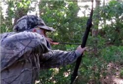 axe cutting tree branch