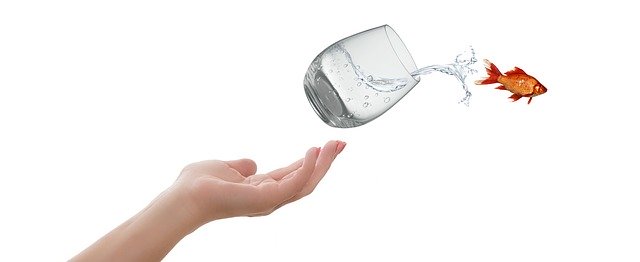fish antibiotics for humans