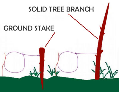 RABBIT SNARE