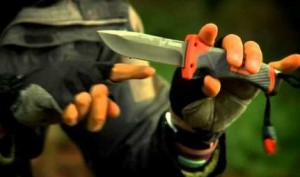 gerber ultimate pro photo